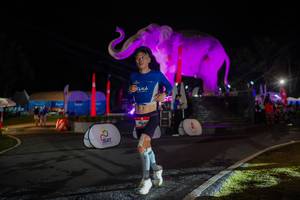 BIB: 
                            <button type="button" onclick="openModal(26552078)" class="btn btn-primary btn-sm float-right btn-popup" data-toggle="modal" data-target=".modal-high-quality">
                        <i class="fas fa-shopping-cart"></i> Add to Cart
                    </button>
                                            <button type="button" onclick="isThisMe(26552078, true)" class="btn btn-success btn-sm float-right btn-popup btn-isme hidden" data-toggle="tooltip" data-placement="bottom" title="นี่คือรูปของคุณใช่ไหม คลิกที่นี่เพื่อเอาเข้าอัลบั้ม">
                        <i class="fas fa-plus"></i> Add to album
                    </button>
                    <button type="button" onclick="isThisMe(26552078, false)" class="btn btn-warning btn-sm float-right btn-popup btn-isnotme hidden">
                        <i class="fas fa-ban"></i> Remove from album
                    </button>